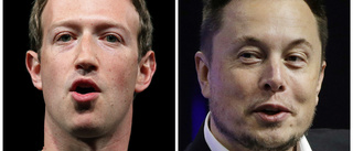 Musk vill sända fajt med Zuckerberg på X