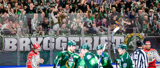 Landslagsmålvakt klar för SHL-nykomlingen