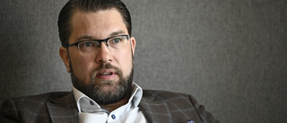 Vad händer med SD när Jimmie Åkesson slutar?