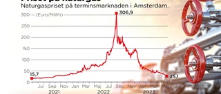 Fransk kärnkraft pressar gaspriset