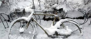 Cykla dubbat i vinter