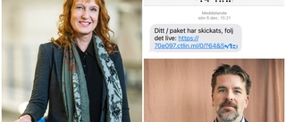 Sms-bedrägeri ökar inför jul: ✓Varningssignalerna ✓Kan förlora alla bilder i telefonen ✓Så kan din telefon föra virus vidare 