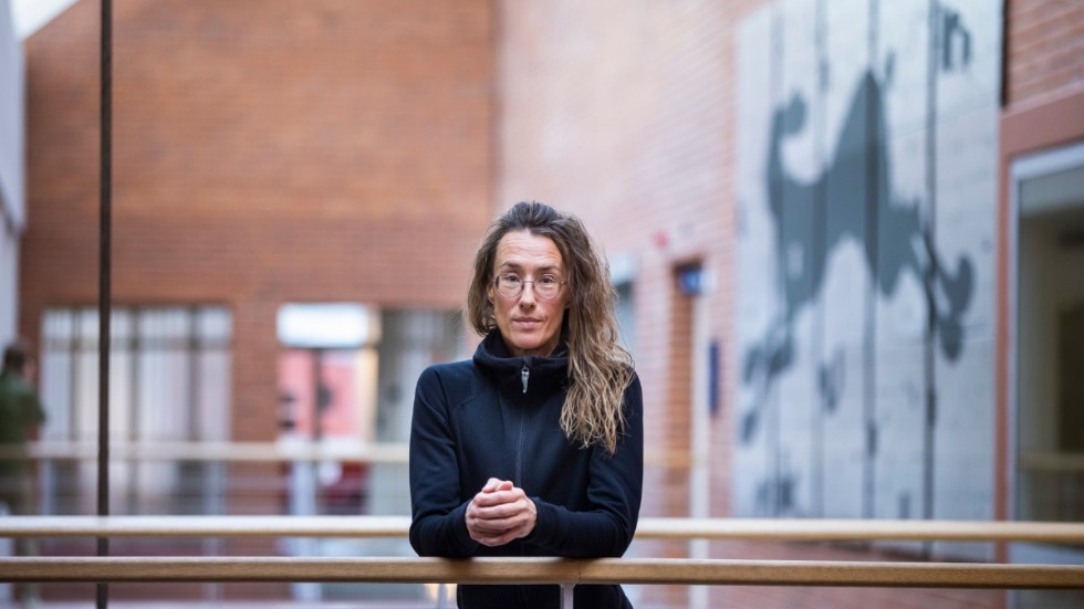 Maria Pettersson, professor i rättsvetenskap, anser att medborgare har goda möjligheter att komma till tals under samrådsprocessen.