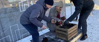 Här byggs första trygghetsboendet i Enköping