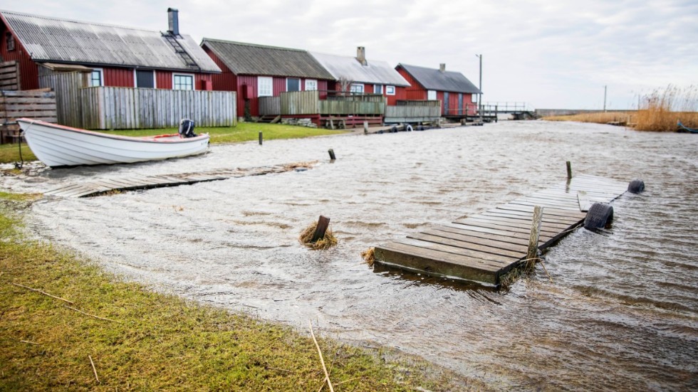 Vid fiskeläget i Västergarn har det höga vattenståndet gjort att båtbryggorna till övervägande del för tillfället ligger under vattenytan. 