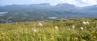 Vigslar i Kiruna och Boden i juni