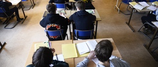 Skolan har bidragit till diagnoserna