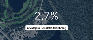 Så såg siffrorna ut för Arvidsjaur Renslakt AB senaste året