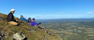 LISTA: Här är årets mest besöksvärda nya naturreservat