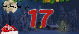 Elins julkalender: Öppna lucka 17 här!