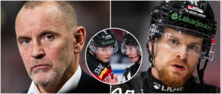 Luleå Hockey i krismöte med domarbasen: "Han har inte gjort fel"