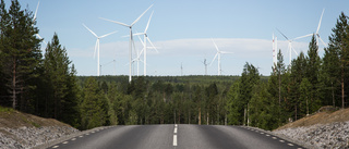 Ta bort de gröna skygglapparna och granska vad som faktiskt sker