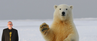 "They expected to see polar bears stranded on ice floes"