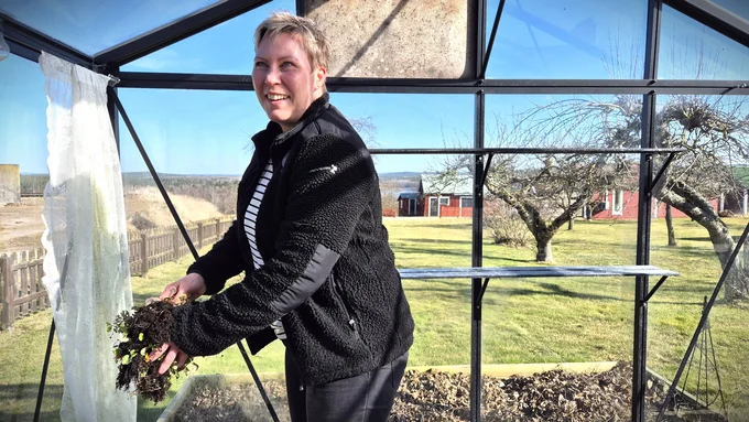 A spring cleaning in the greenhouse