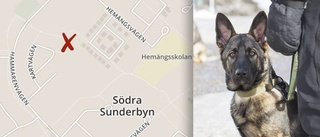 Hundägaren om schäferattacken