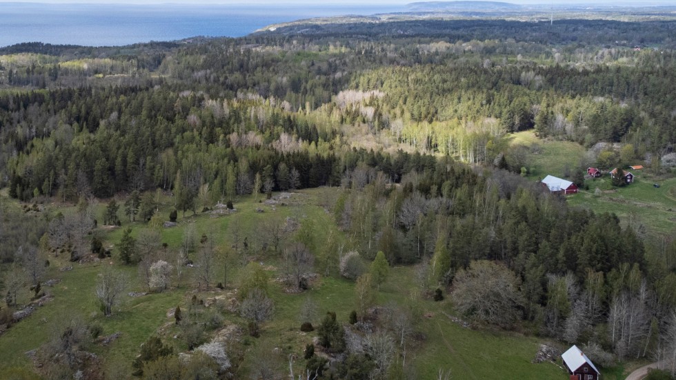 Planerna på en gruva med öppet dagbrott i Norra kärr är åter högaktuell vid Vätterns östra strand.