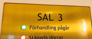 22-åring åtalas för våldtäkt