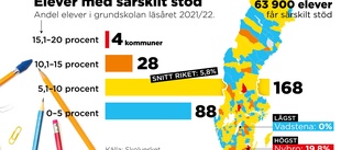 Elevers chans till särskilt stöd "ett lotteri"