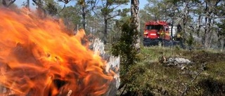 Hög risk för skogsbränder