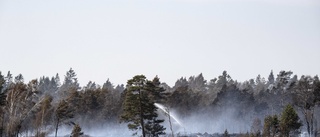 Människor ansvariga för flest skogsbränder