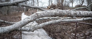 Drabbad av stormen? Så får du ersättning