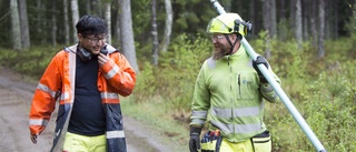 Häng med ut i skogen när träd över elledningar sprängs bort: "Förstår att man undrar över smällarna" 