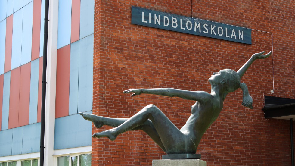 På Lindblomskolan i Hultsfred har en omfattande skadegörelse gjorts på lekplatsen.