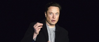 Musk anmäls för Twitterköp