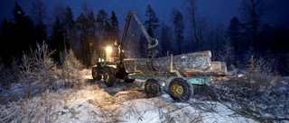 Så många får gå från Skogsstyrelsen