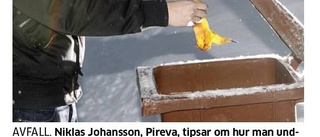 Välkommen till verkligheten Pireva