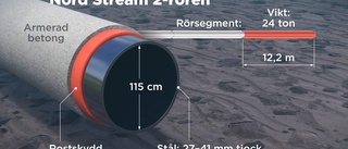 Expert: Nord Stream bör kunna repareras