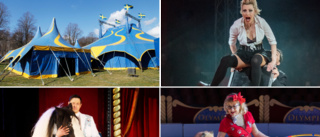 Cirkus i stan – alla barn får gå gratis