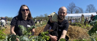 Jacob och Anne startar egen verksamhet på ön