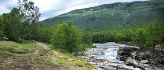 En fjällförnekare tar till orda