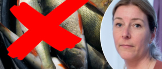 Varningen: Undvik att äta fisken från Näsnaren