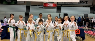 Medaljsuccé för Eskilstuna ITF Taekwon-Do på STL och Svea Cup