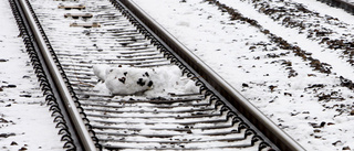 Ungdomar låg bakom snögubbeattentat