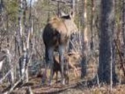 Tuva blev mamma ovanligt tidigt