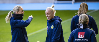 Matchguide: Sverige–Danmark