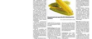 Konspirationsteori om GMO