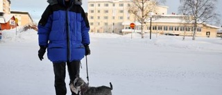 Malmberget och Gällivare skakade