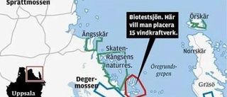 Biotestsjön alternativ för vindkraft