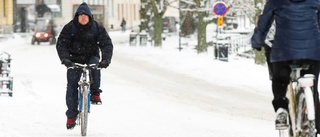 Räkna med fortsatt vinterväder