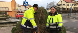 Julgranarna är på plats i centrum