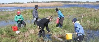 Vendels skola studerar naturen