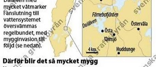 Mygginvasionen