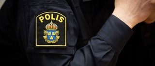 Polisen ser ingen ny stöldtrend