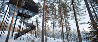 Fingertoppar kapad på Tree hotel