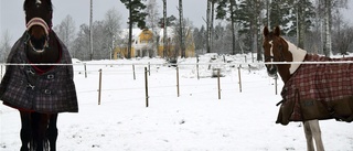 Ridklubben stängd och isoleras