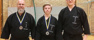 Framgångar i SM i iaido